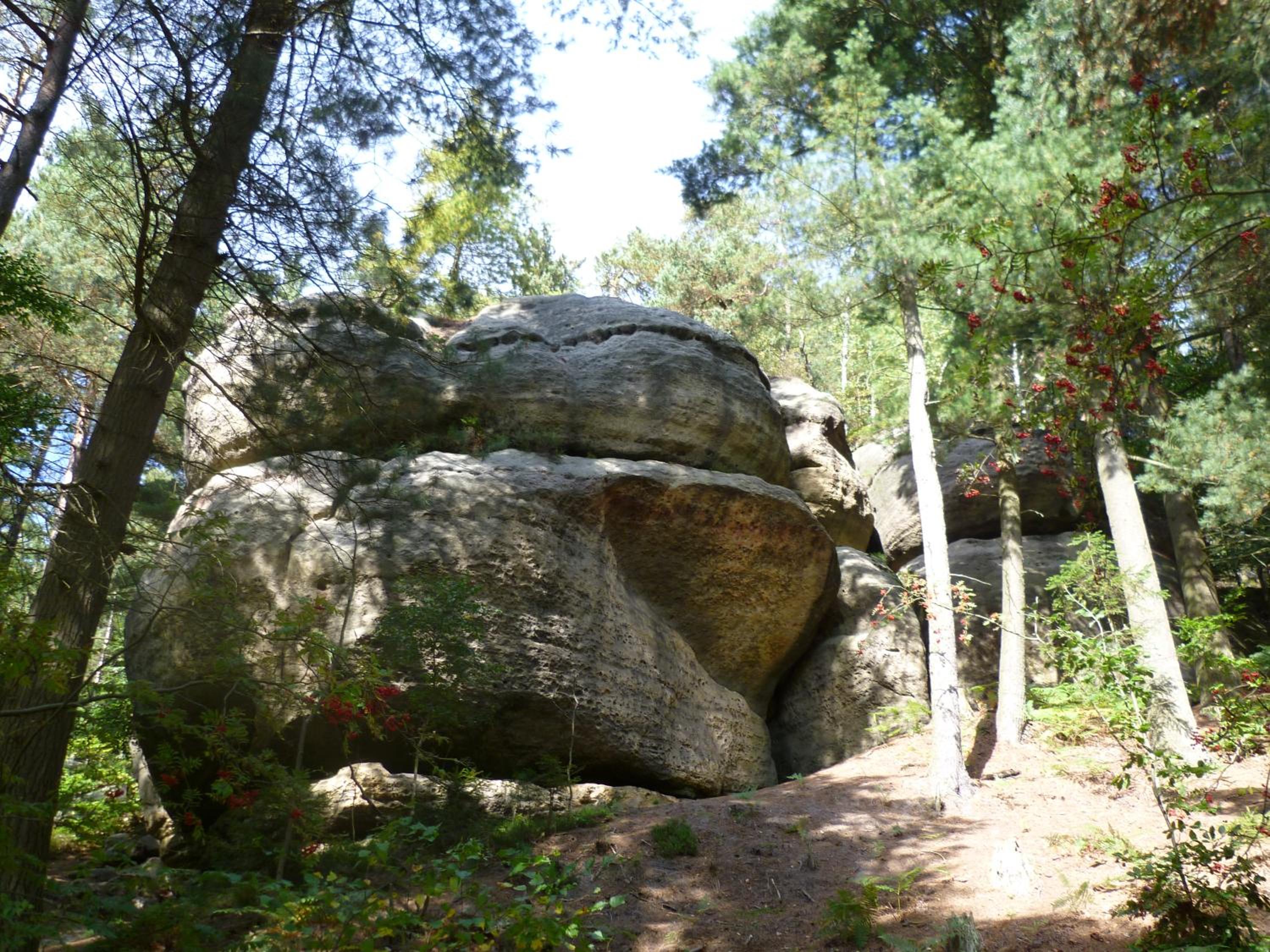 Ferienwohnung Zittauer Gebirge view 3