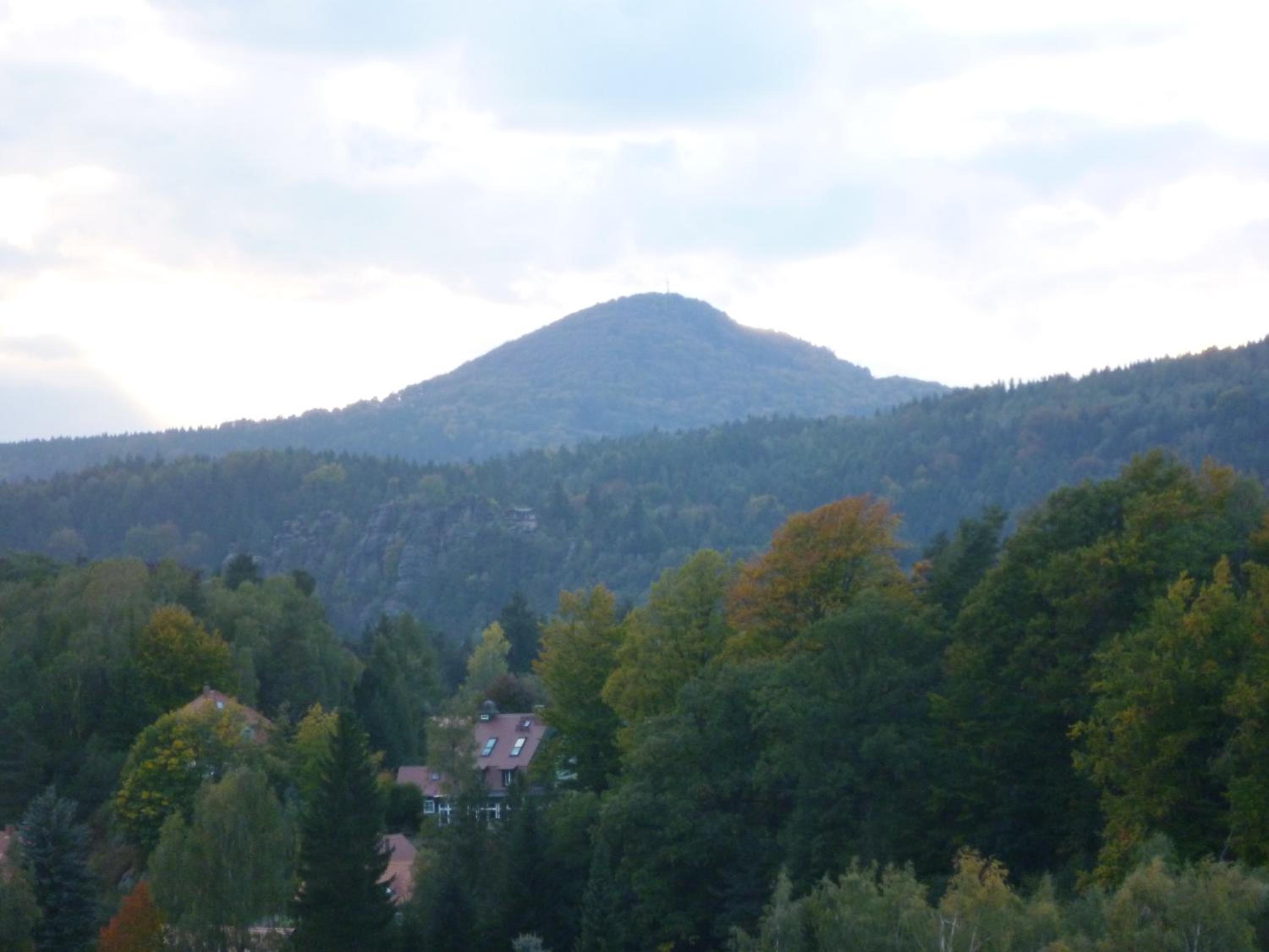 Photo 41