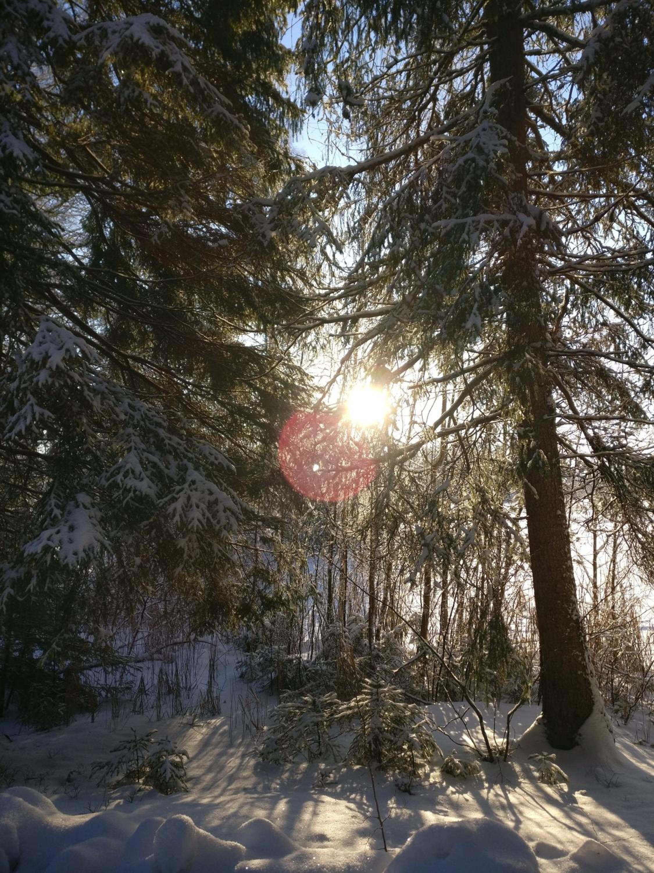 Photo 42