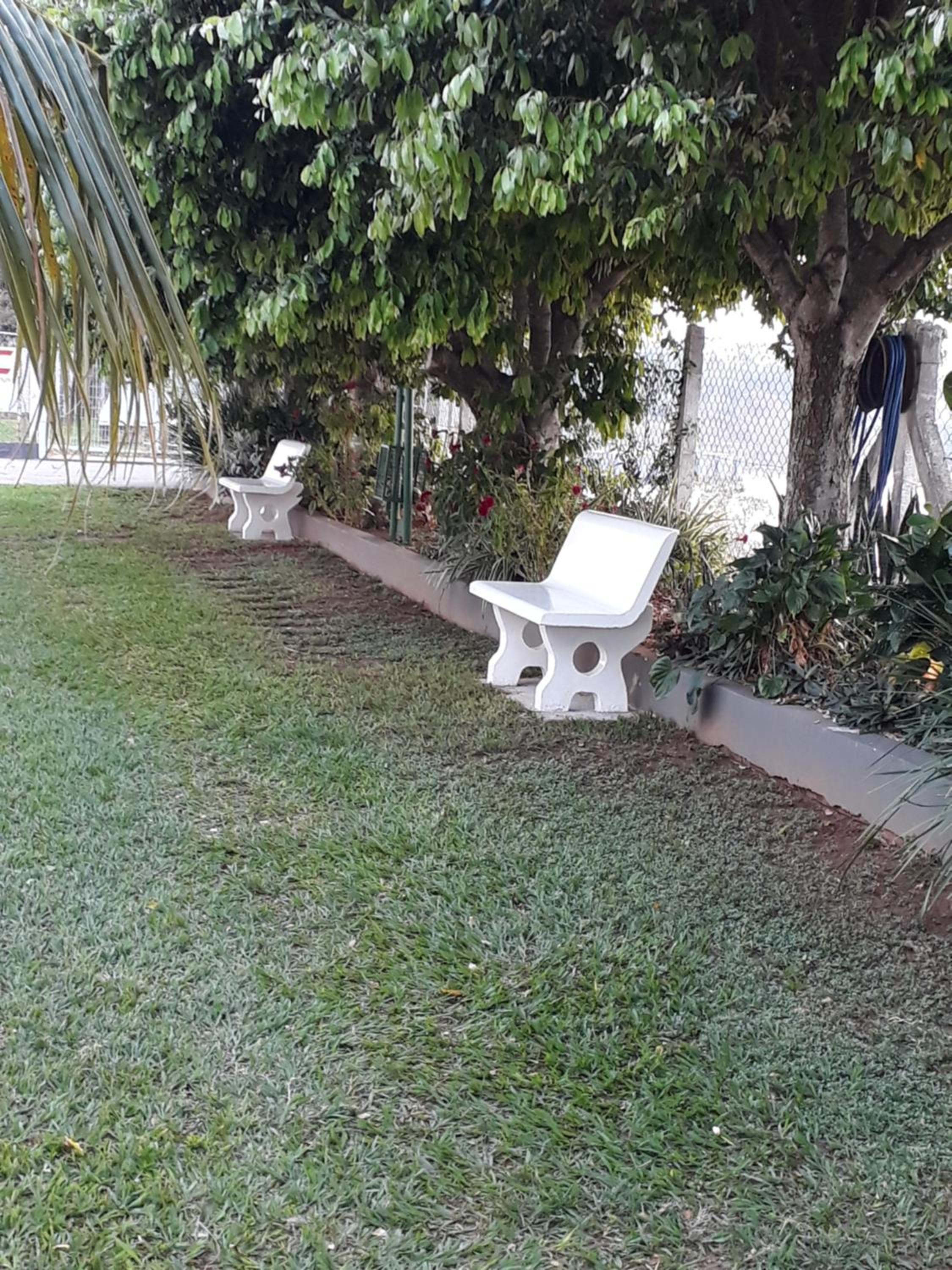 Photo 42