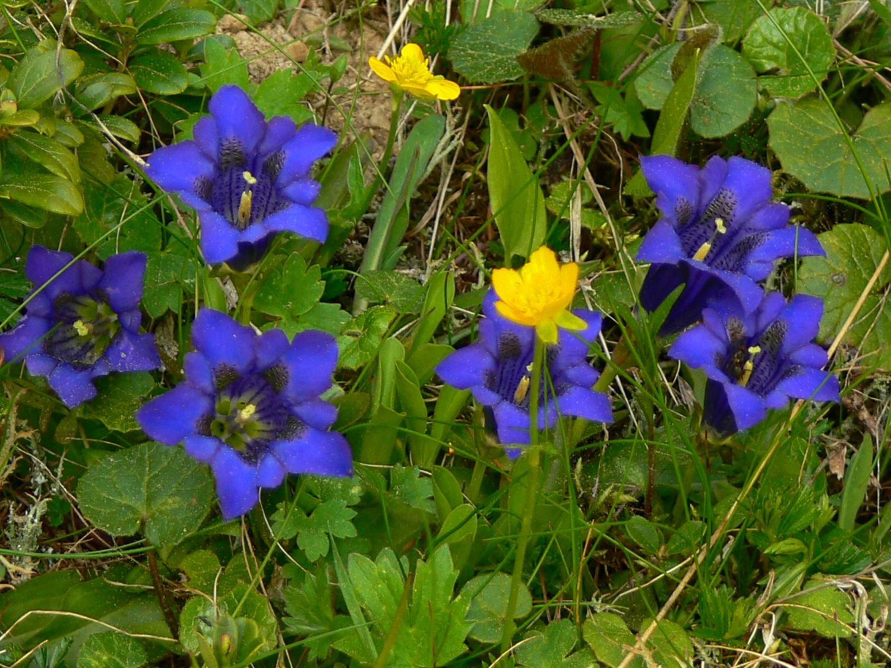 Photo 35