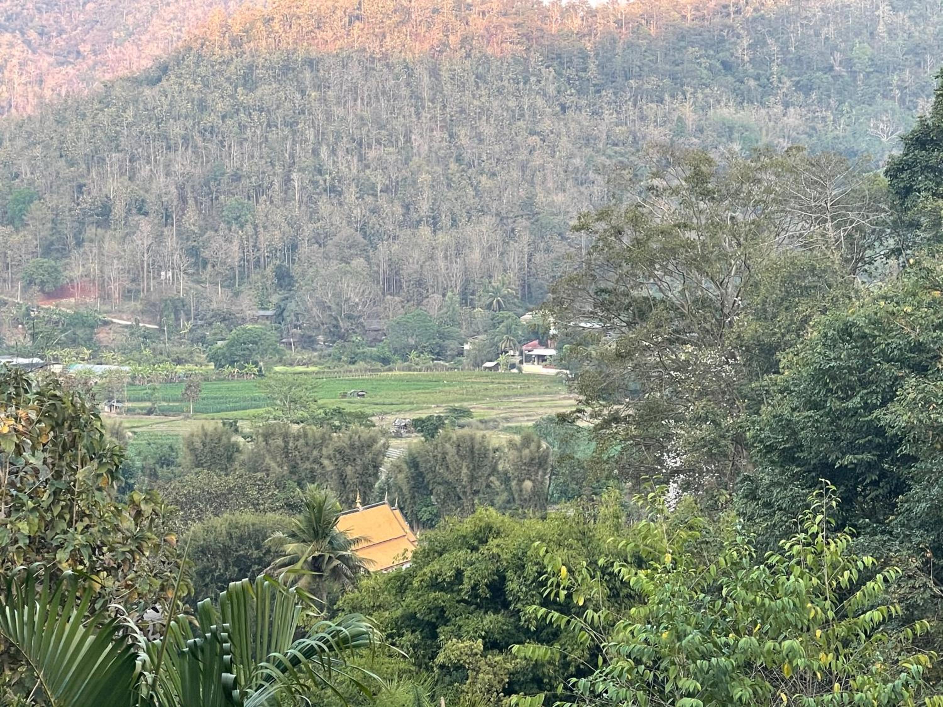 Forest Guesthouse