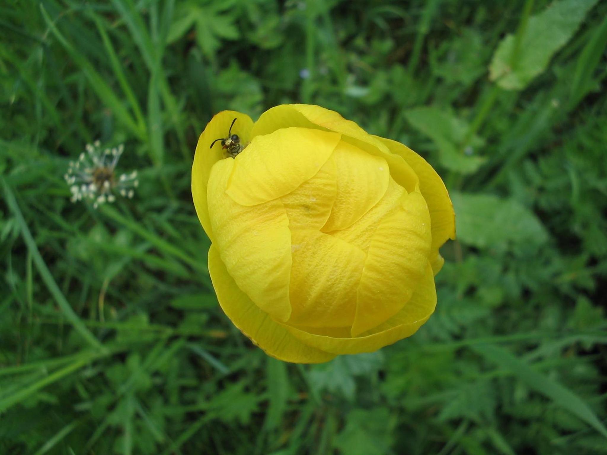 Photo 40