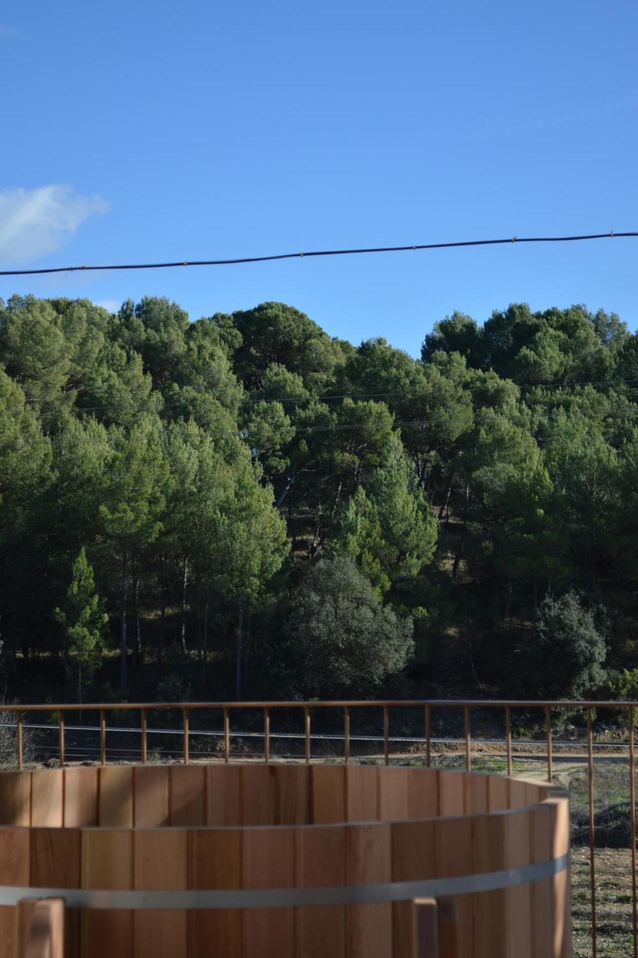 Photo 43