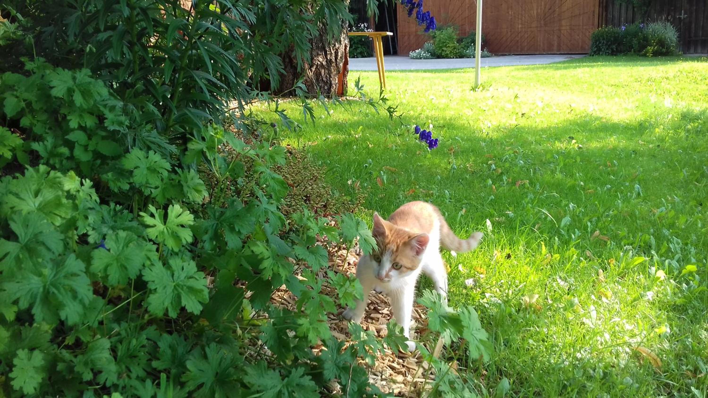 Photo 24