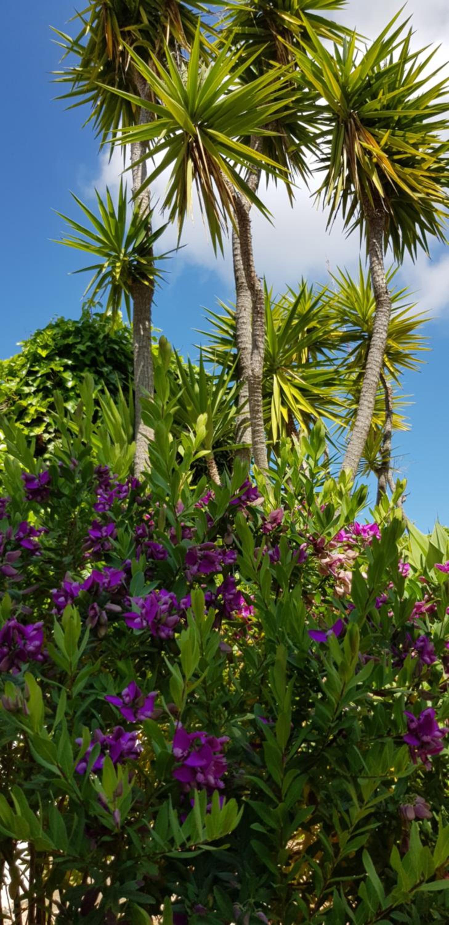 Villa Quinta da Violeta
