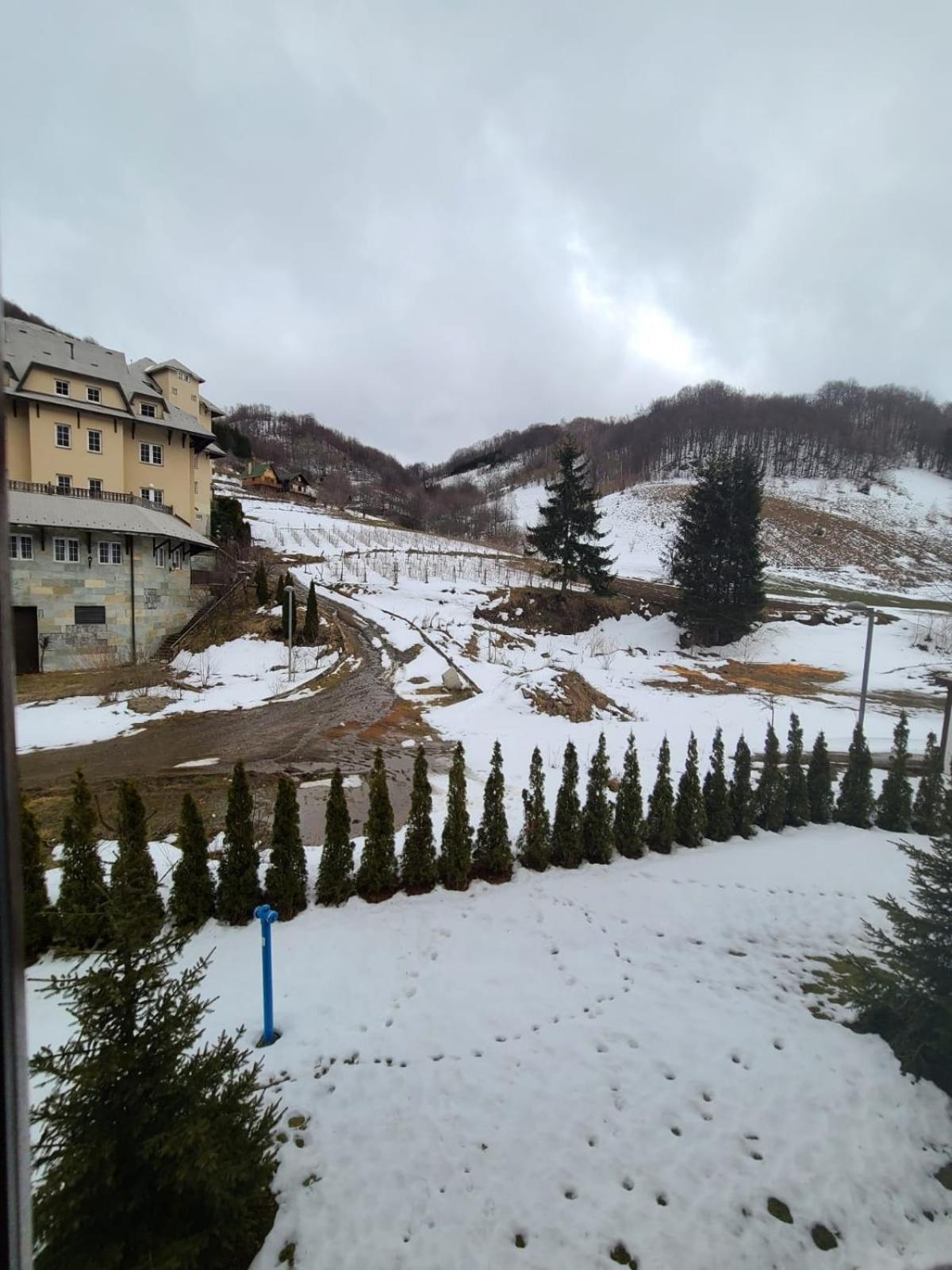 BELI VUK - Brzeće, Kopaonik view 4
