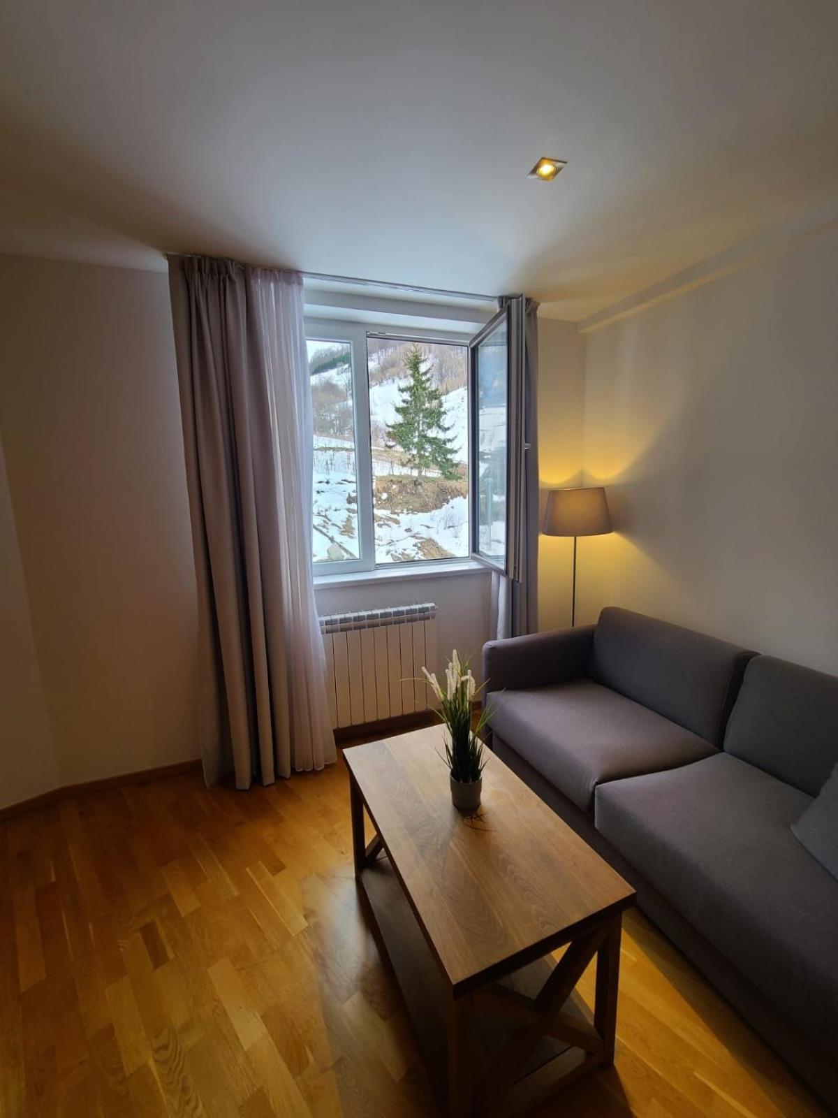 BELI VUK - Brzeće, Kopaonik view 3