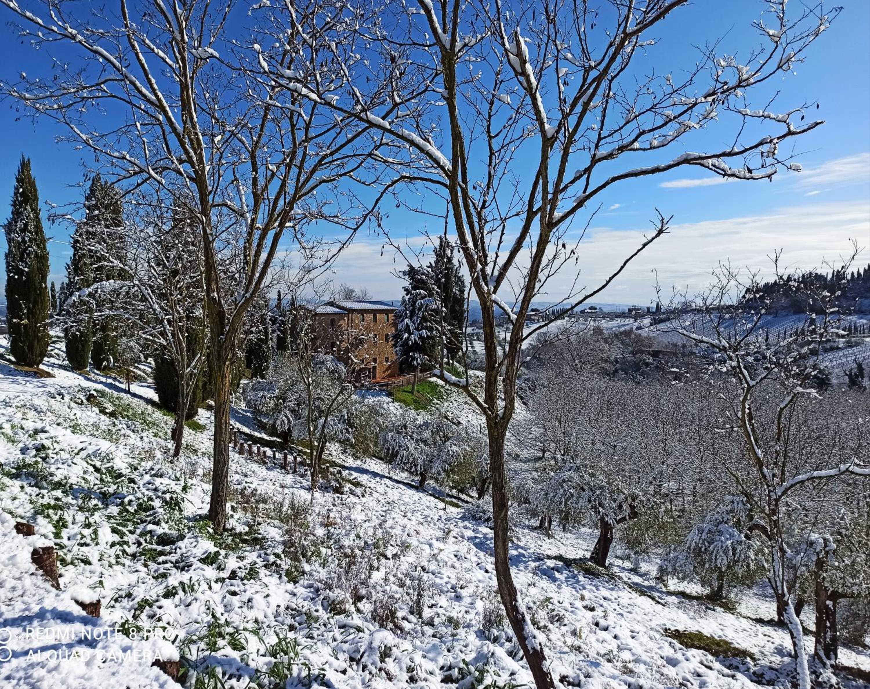Rocca degli Olivi