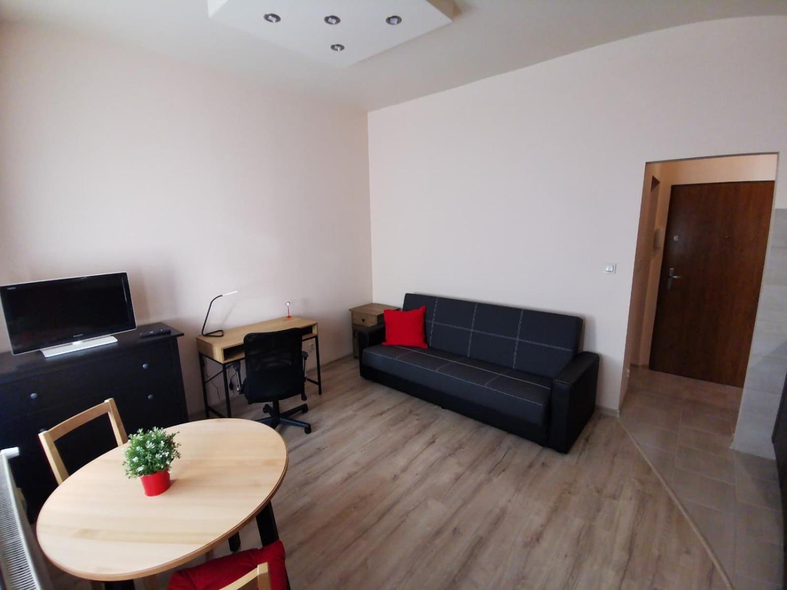 Little Big Red - Central Modern Studio view 3