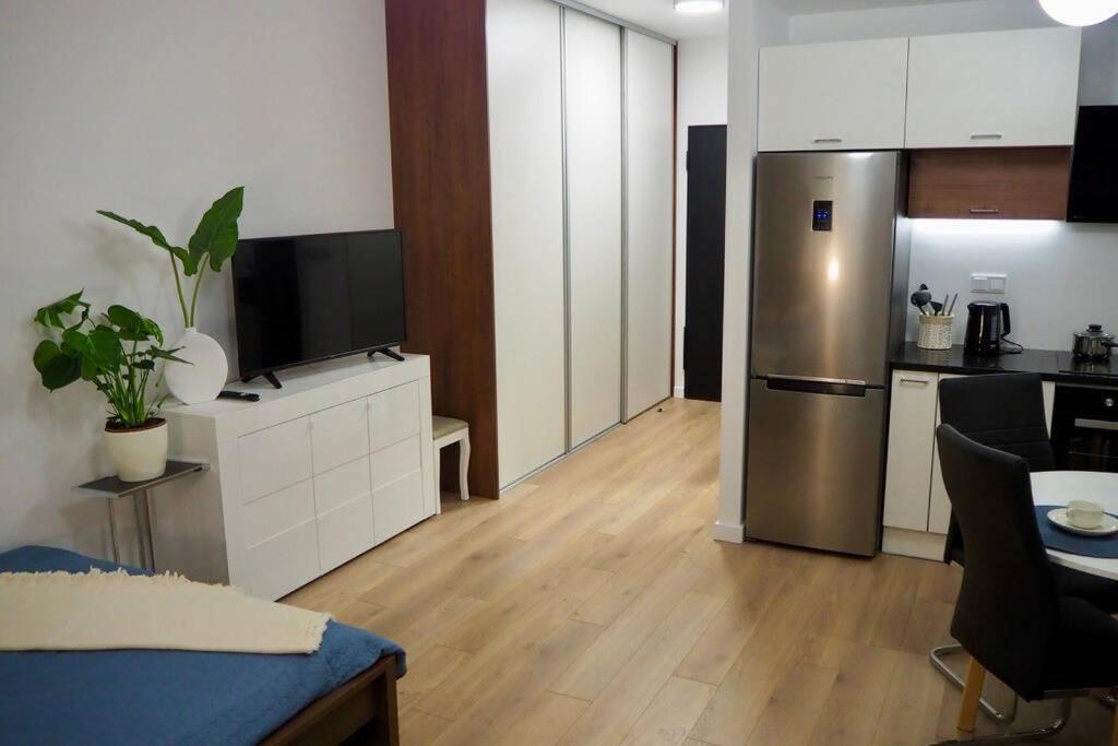 Studio Nr 4 close to Medicover and Paley Institute view 4