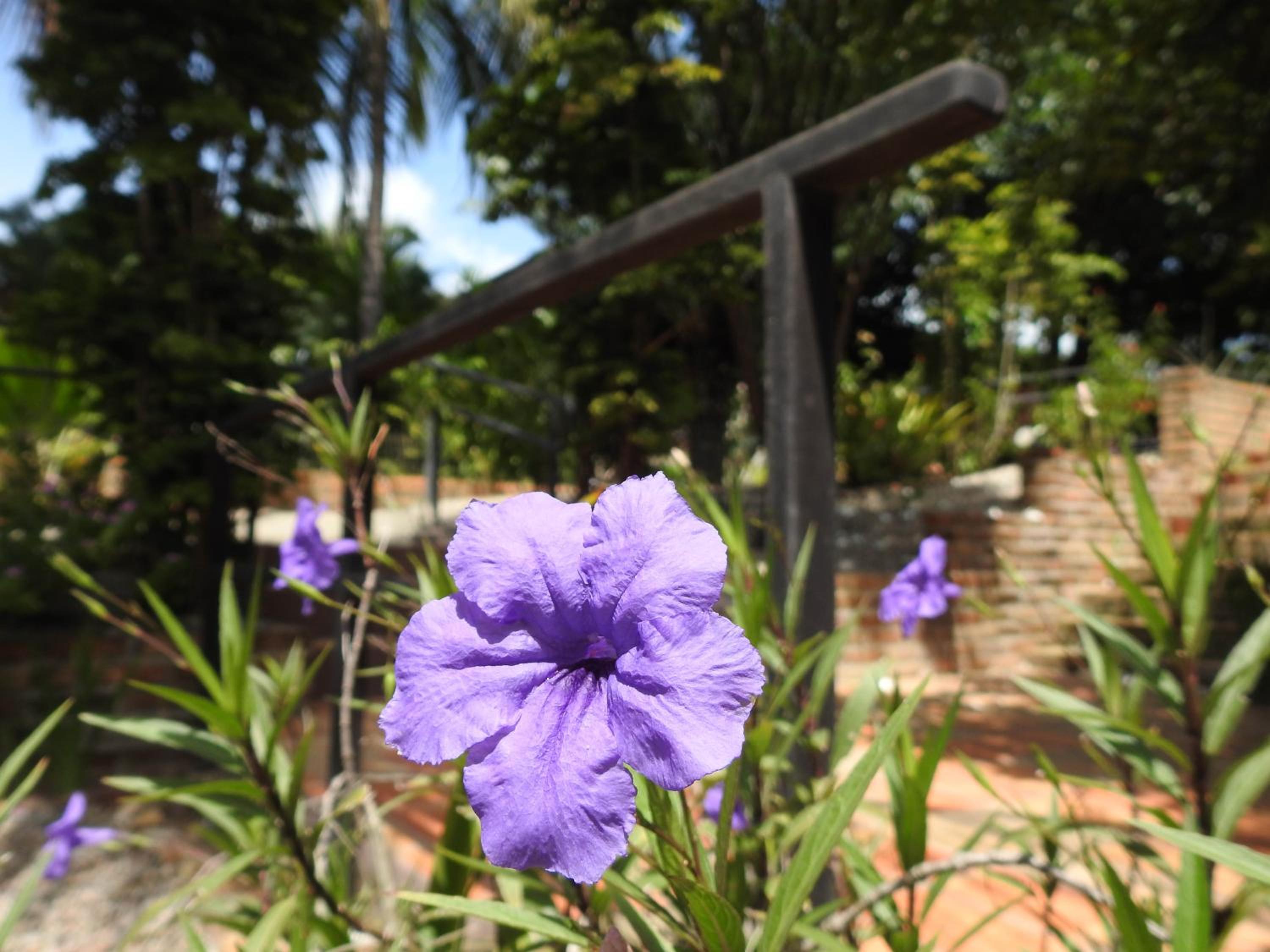 Pousada Morada dos Ventos