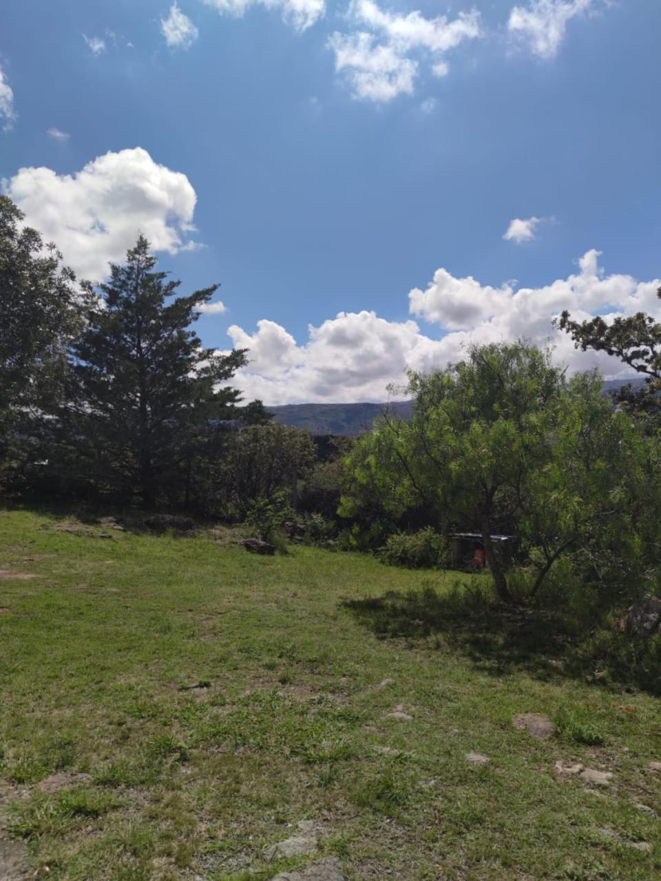 Cabaña de Troncos en la montaña