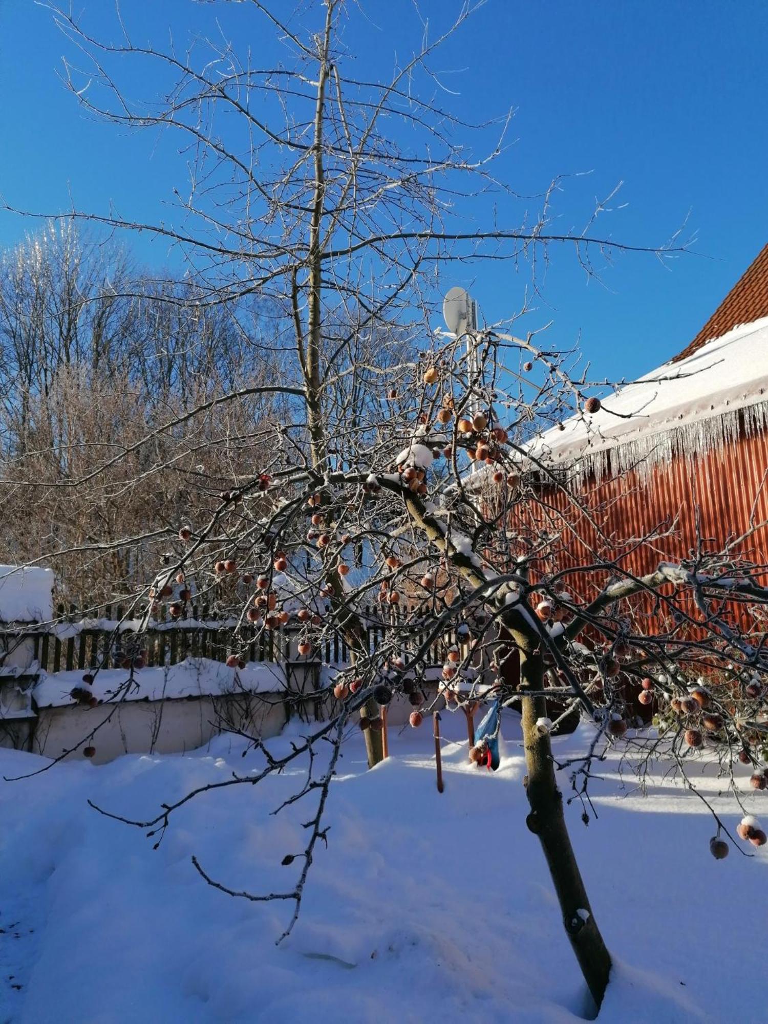 Stilvolles Ferienhaus Artdeco view 3