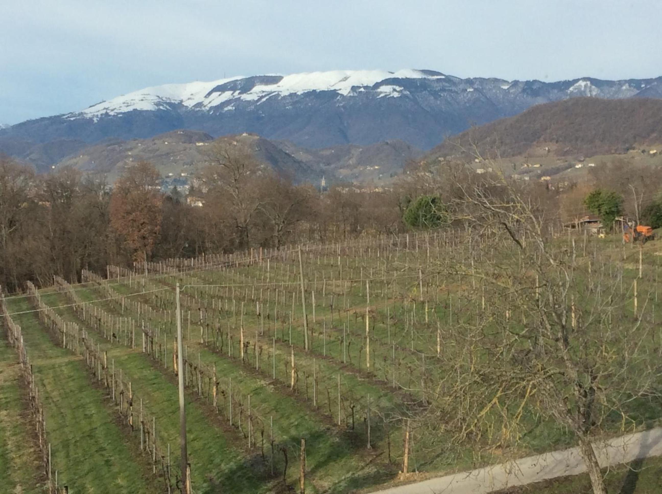 Giuliva B&B photo 4