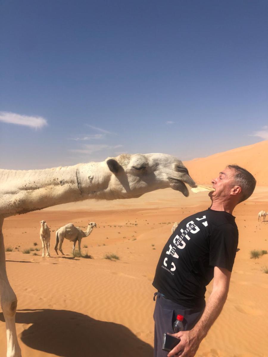 Liwa Nights