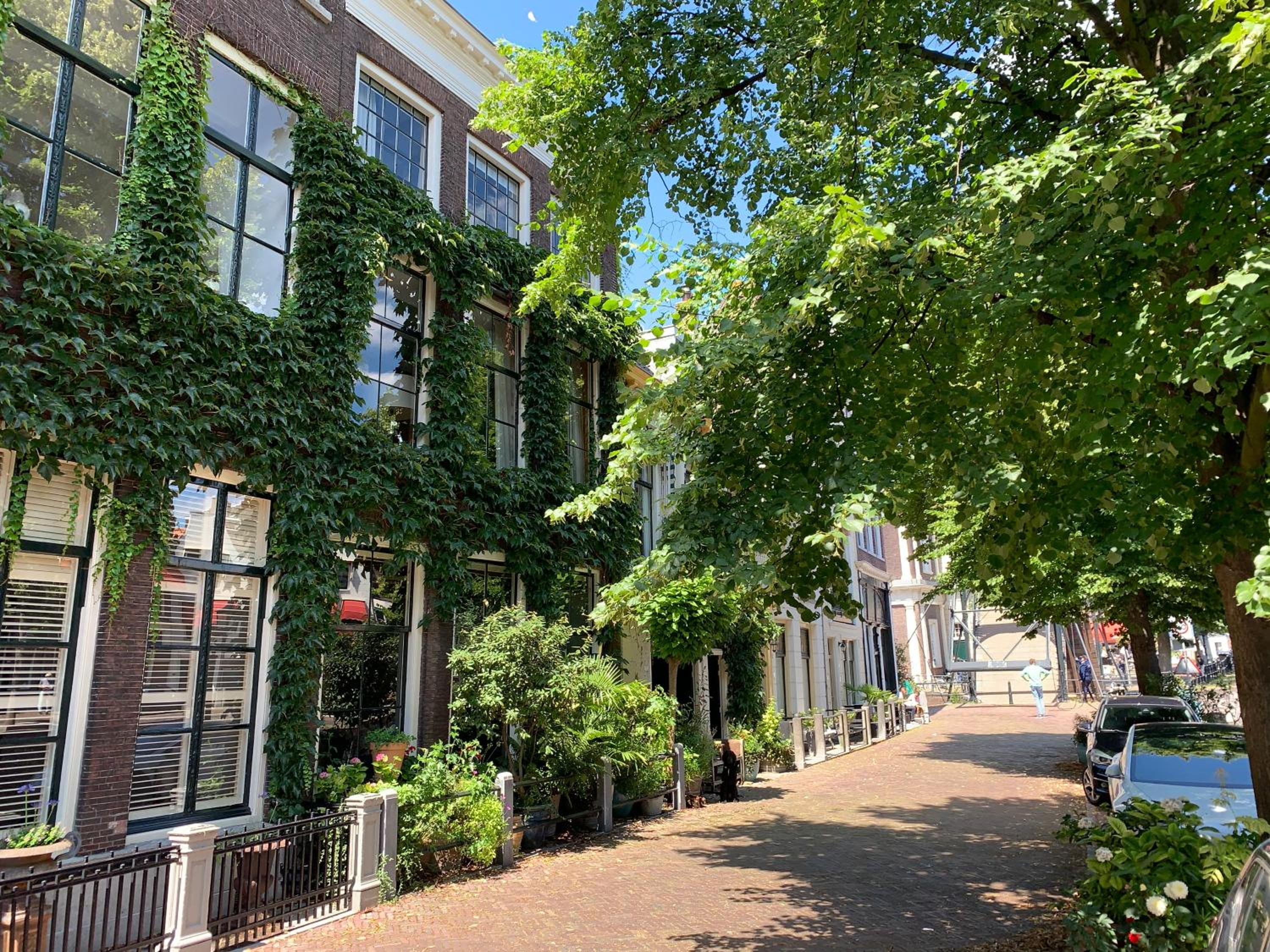't hart van Schiedam
