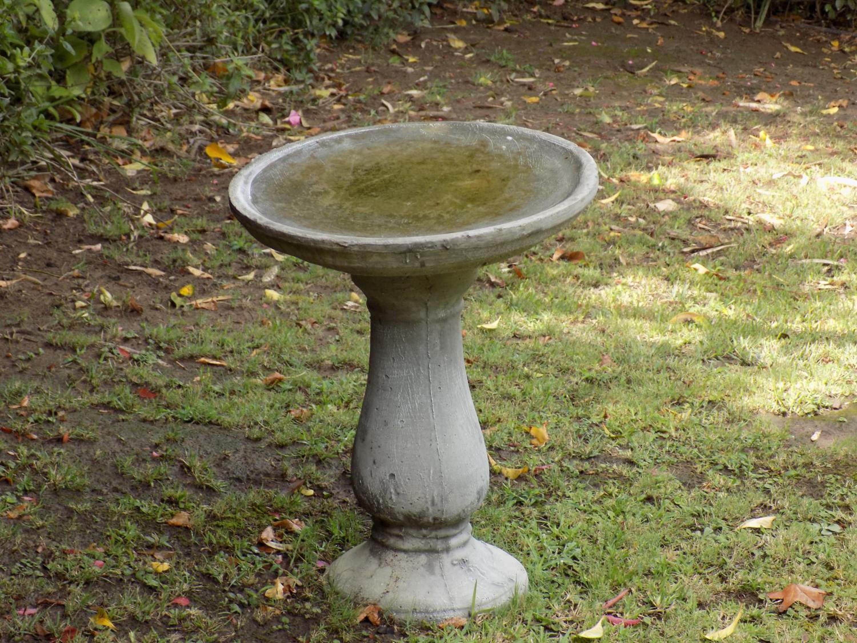 Photo 23