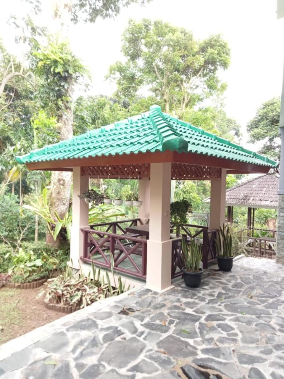 Photo 7