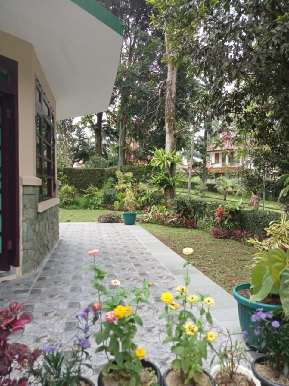 Villa Green Fresh - Bumi Ciherang - Cipanas view 4