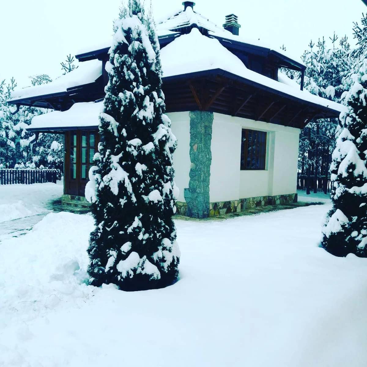 Vila Panić Zlatibor view 3