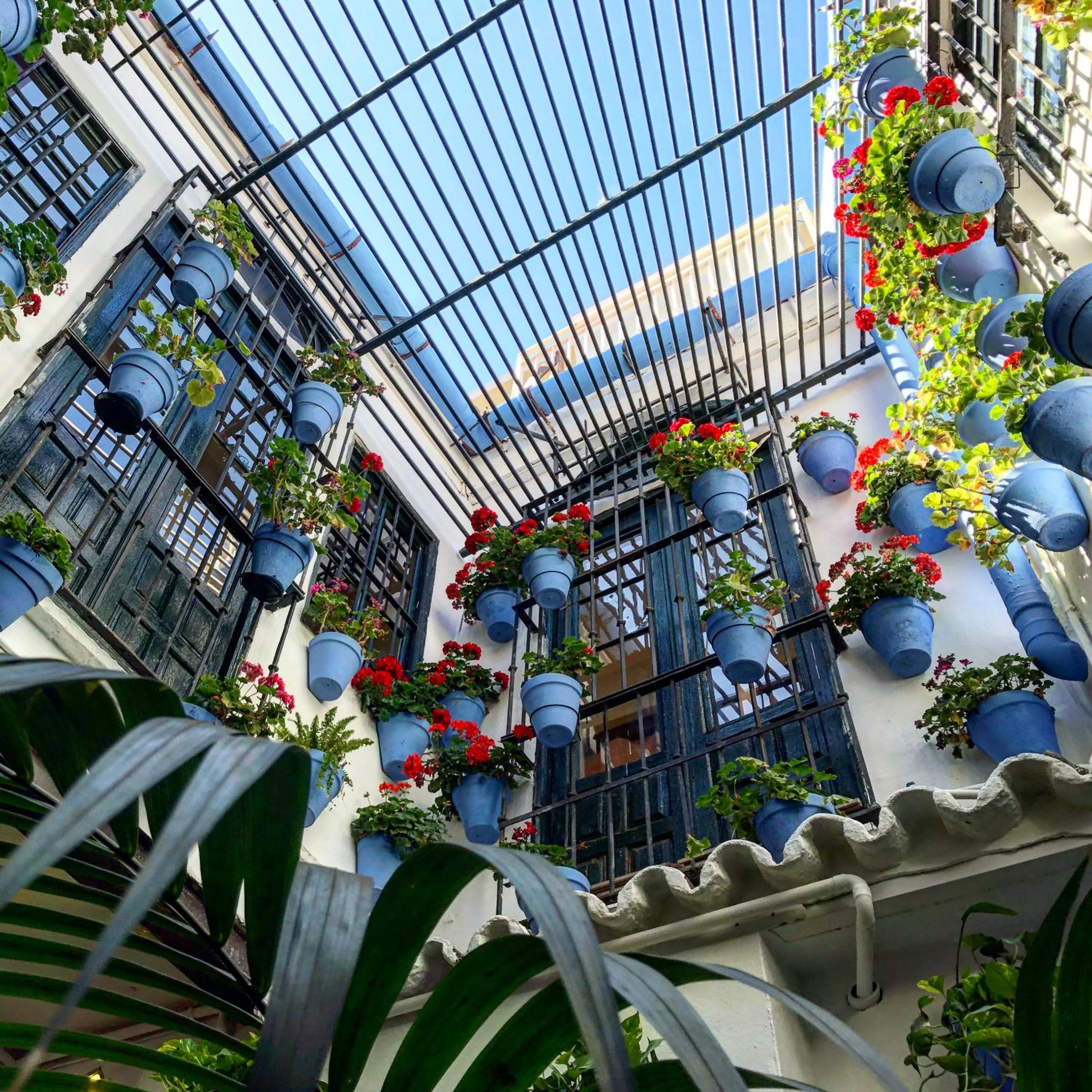 Picasso City Center 1A