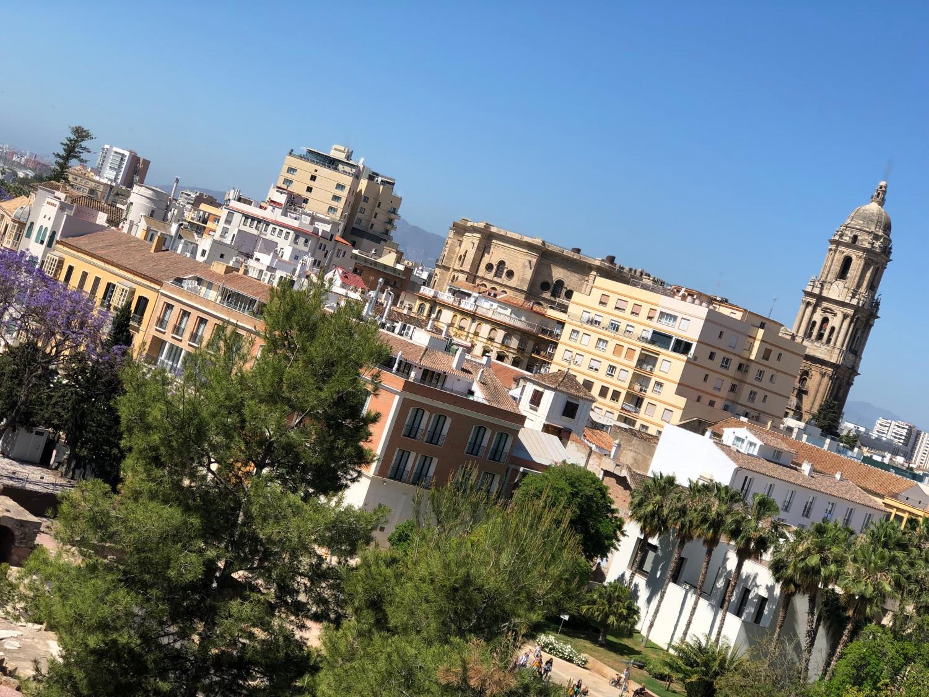 Picasso City Center 1A