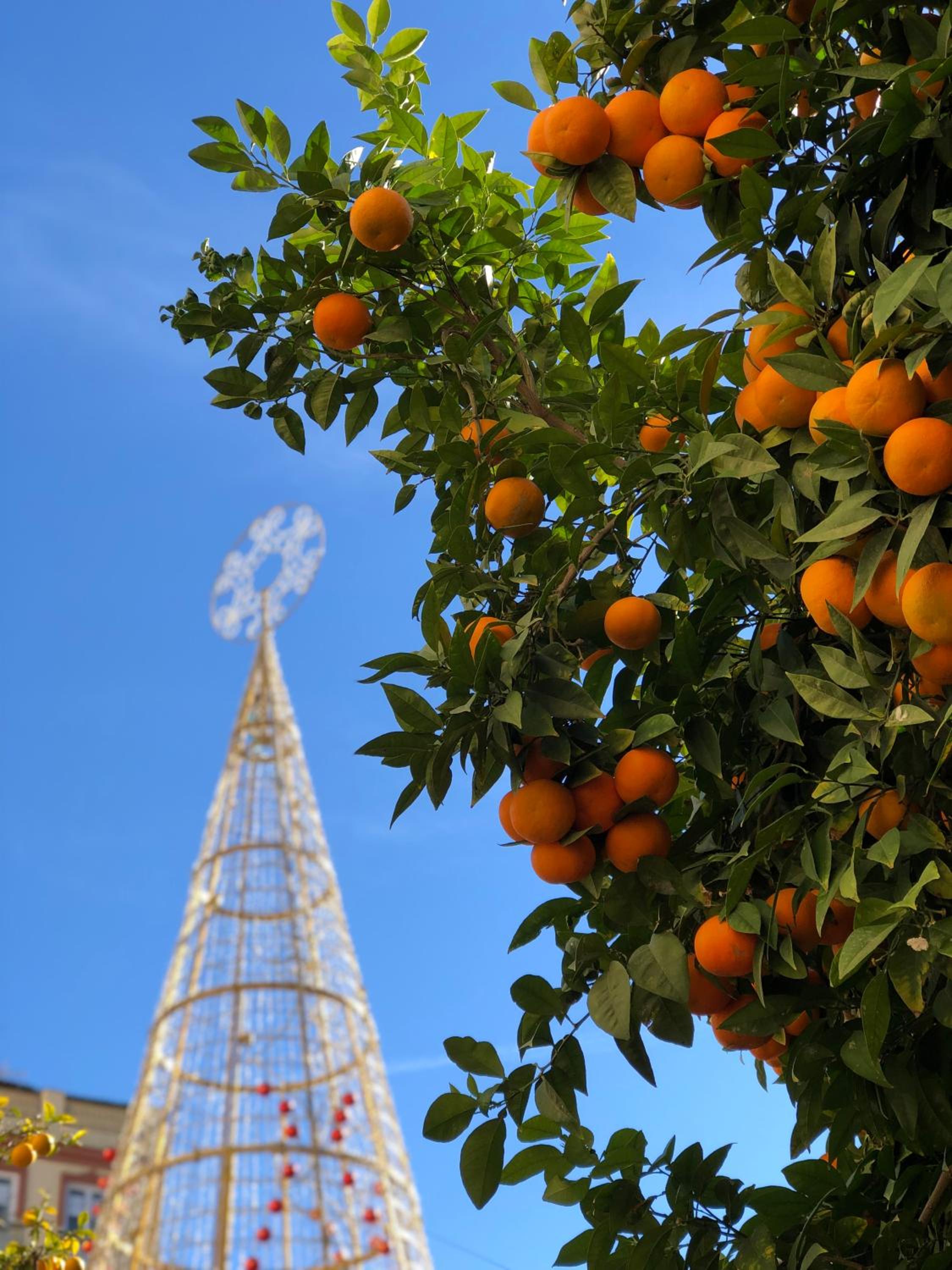 Picasso City Center 1A