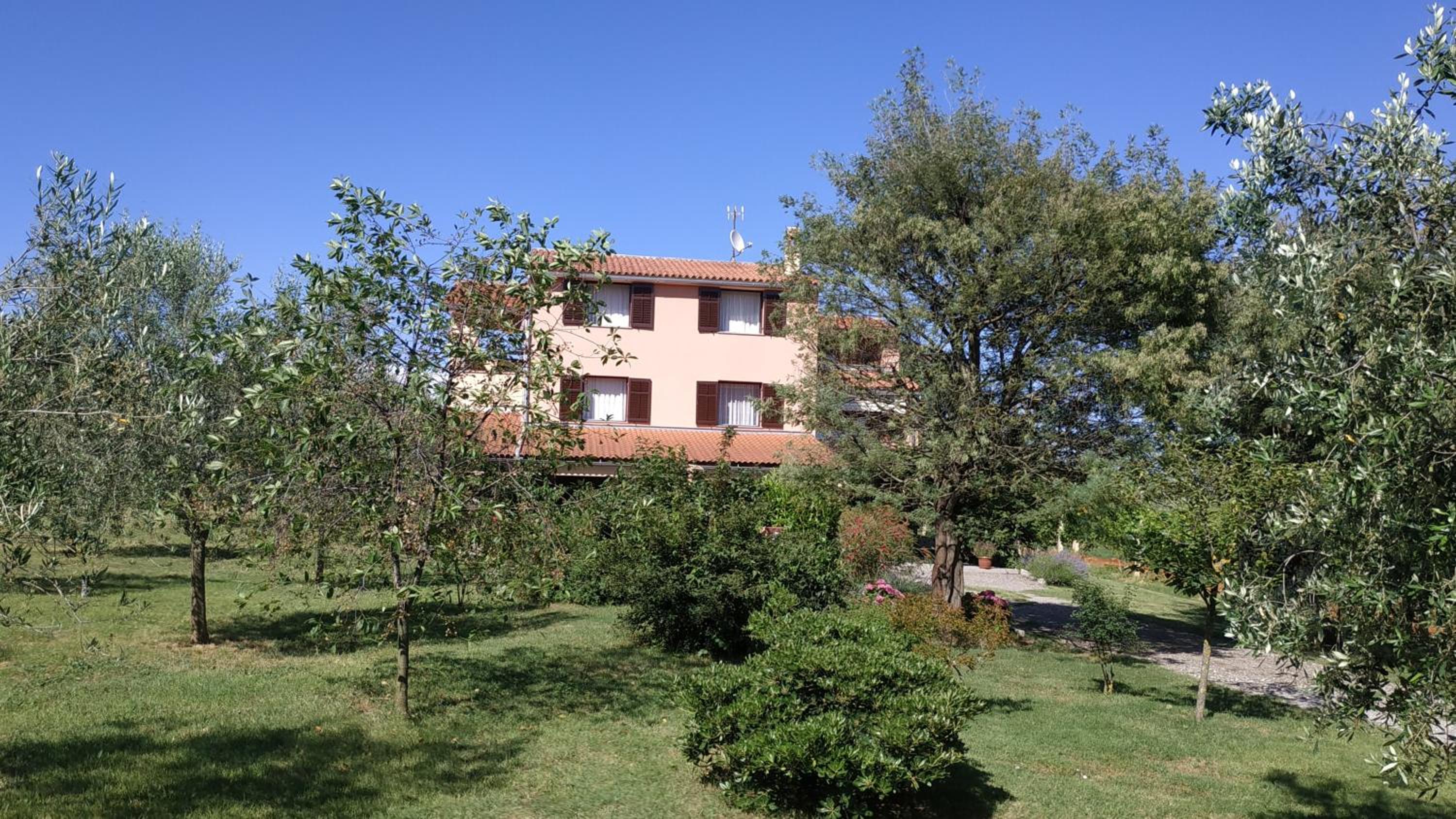 Photo 25