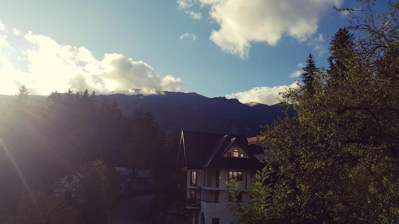 Hotel Casa Varful Cu Dor - Image 1