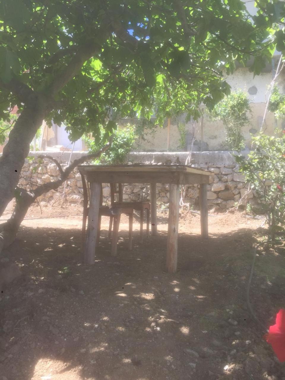 Appart Hôtel Signature, photo 12