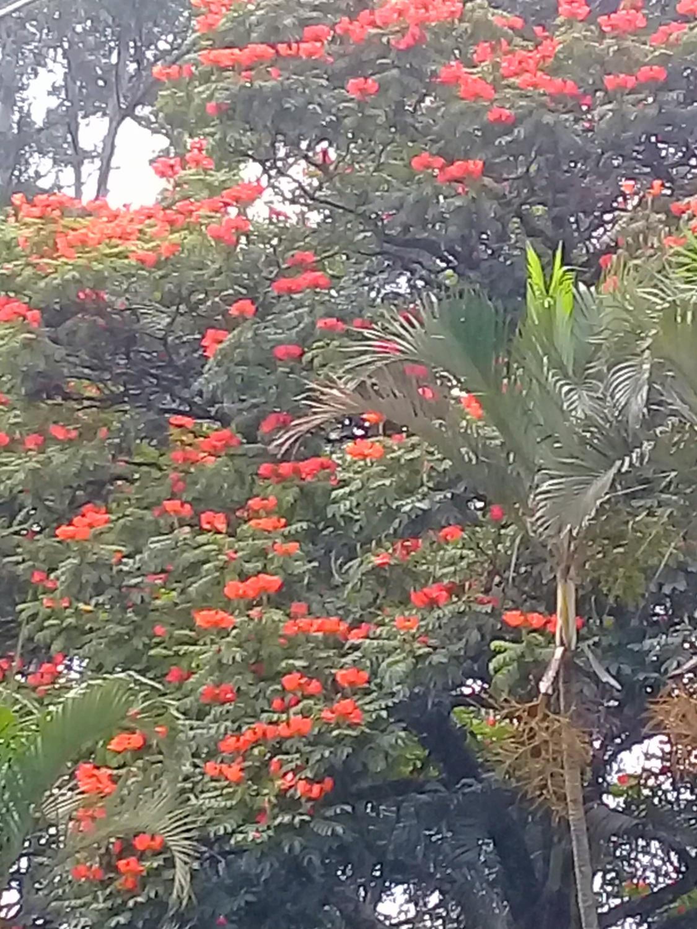 Eco Pousada Sinhá Ruth