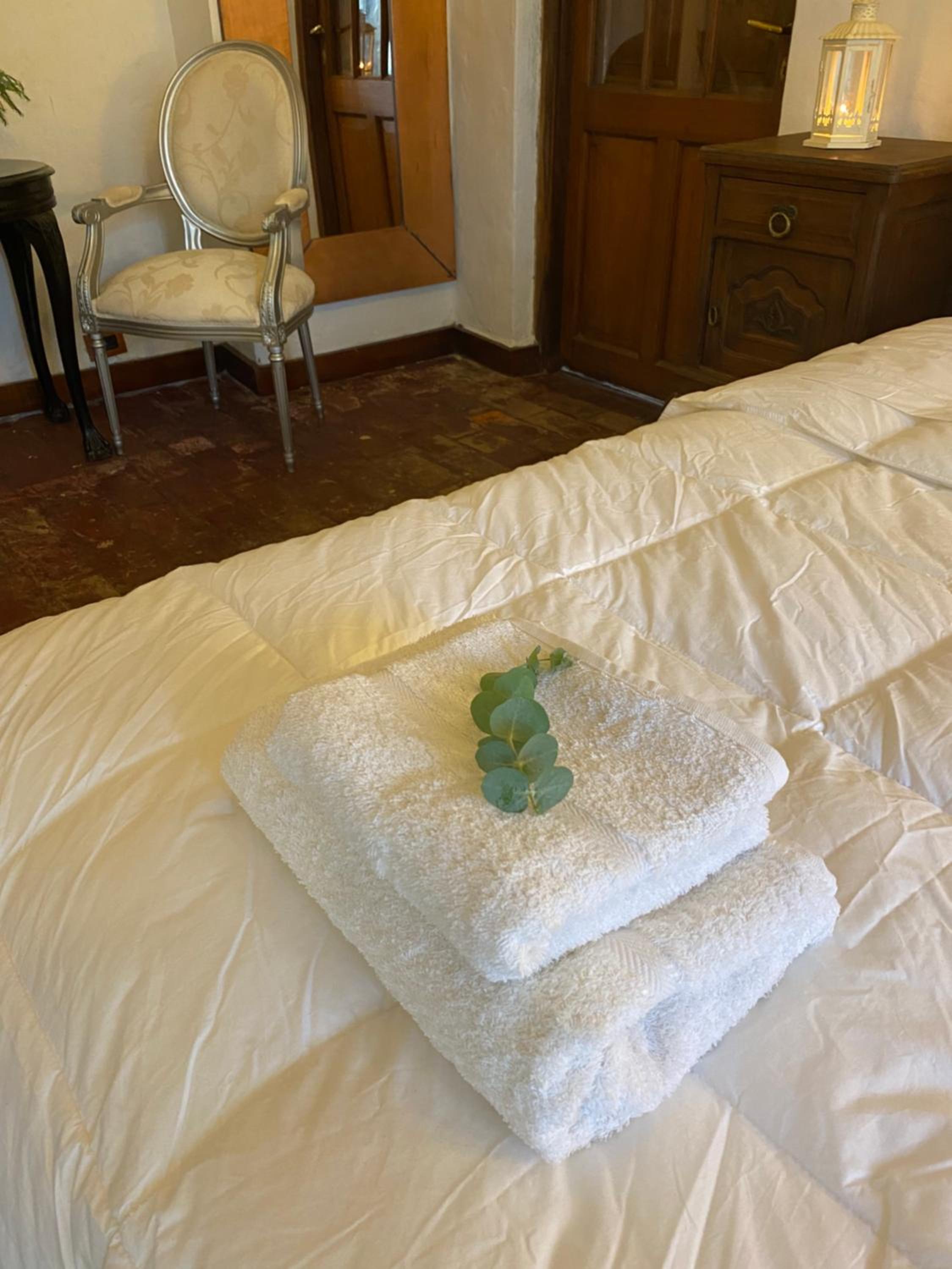 Don Aniceto - Suites de Campo