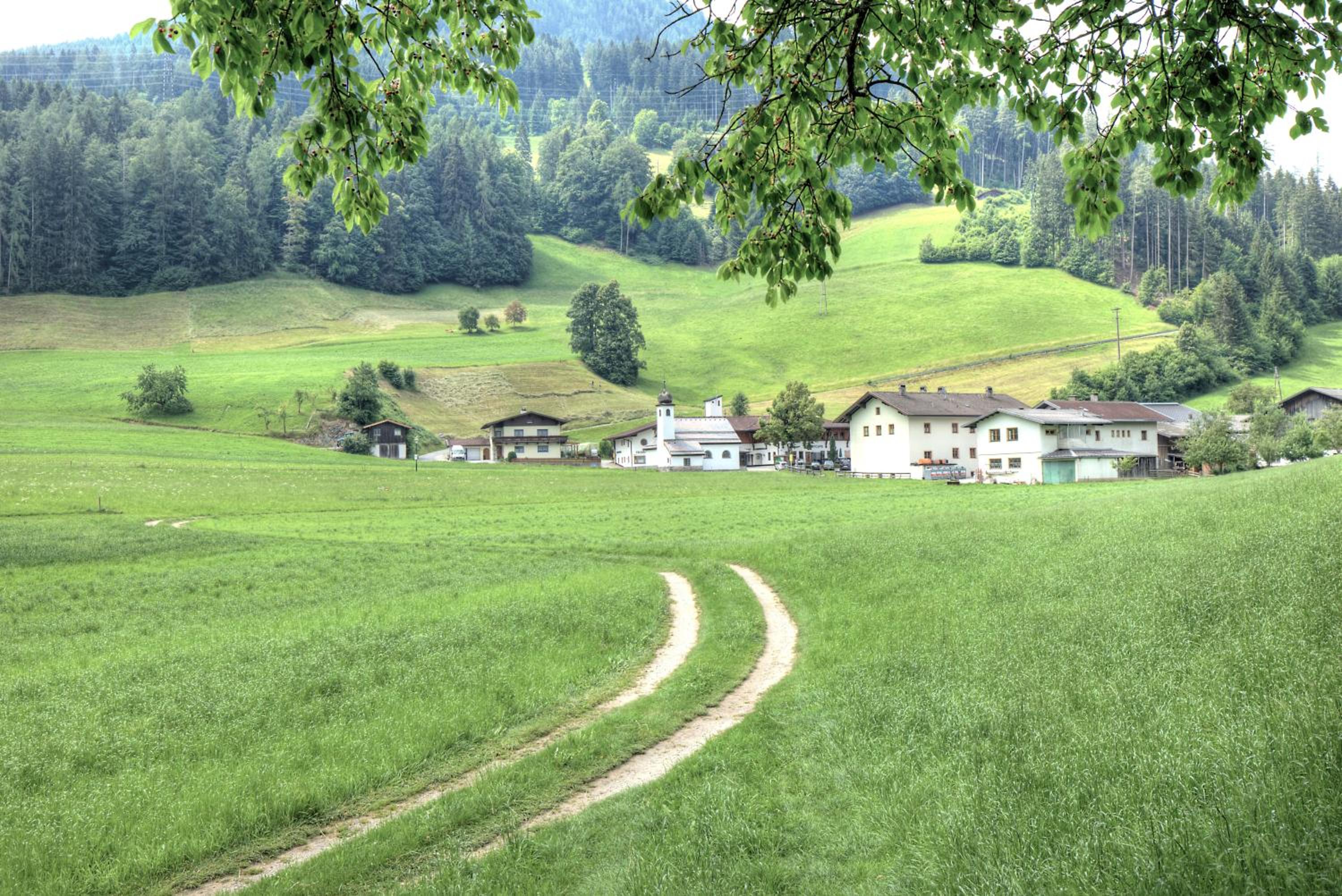 Photo 23