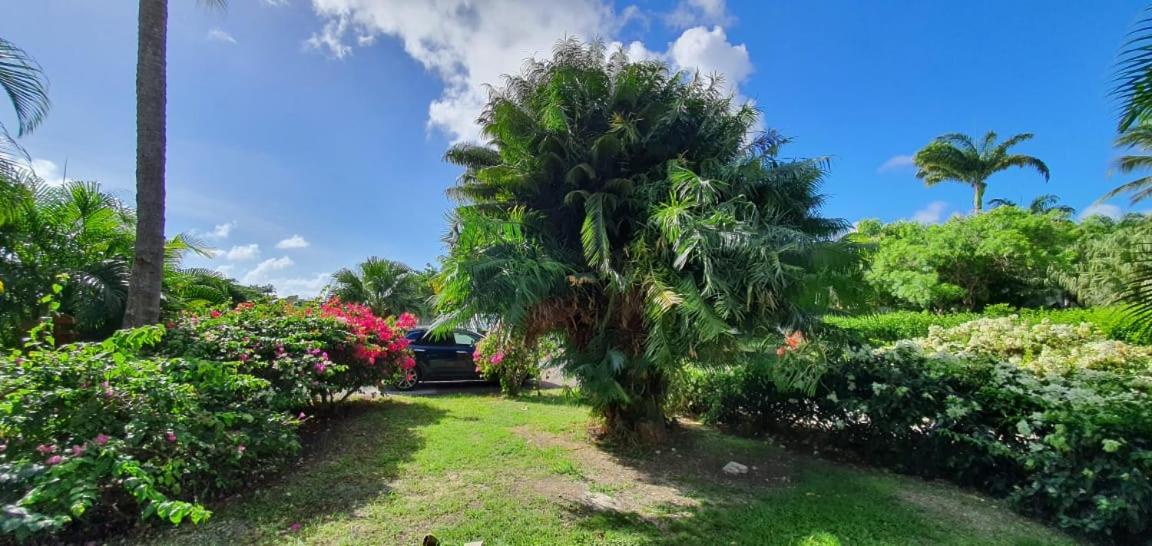 Grand studio Tropical idéalement situé, jardin et piscine view 5