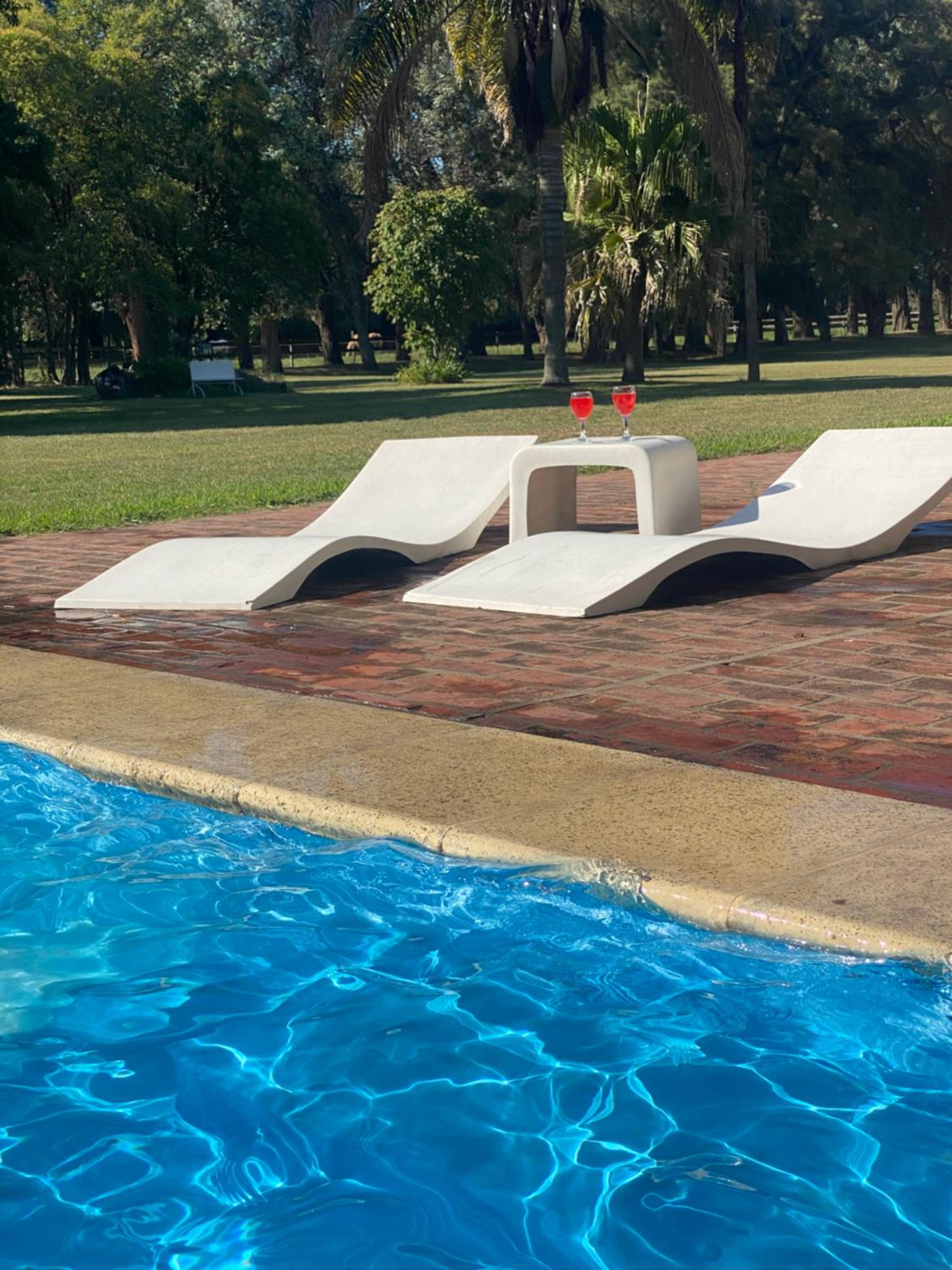 Don Aniceto - Suites de Campo