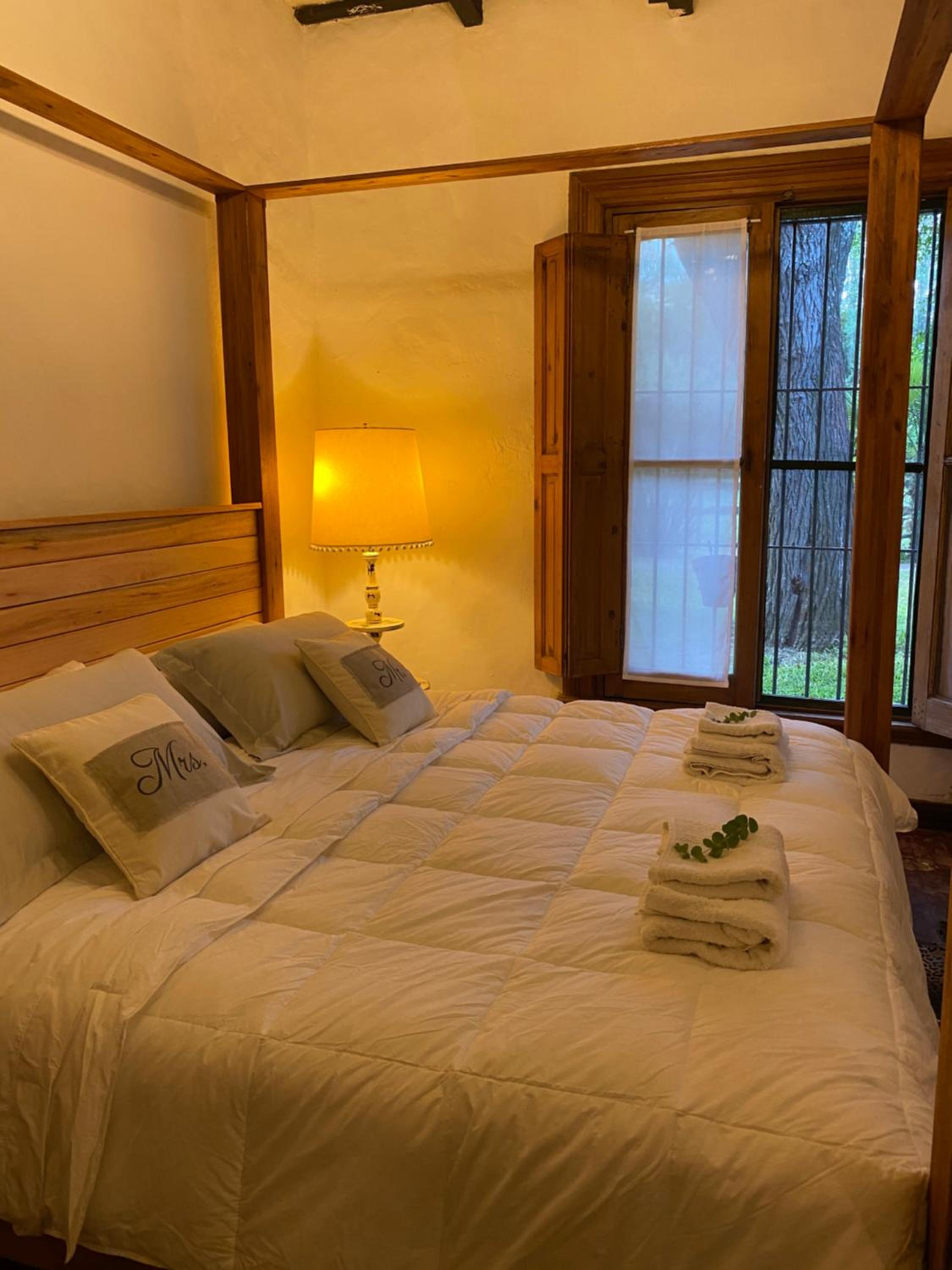 Don Aniceto - Suites de Campo