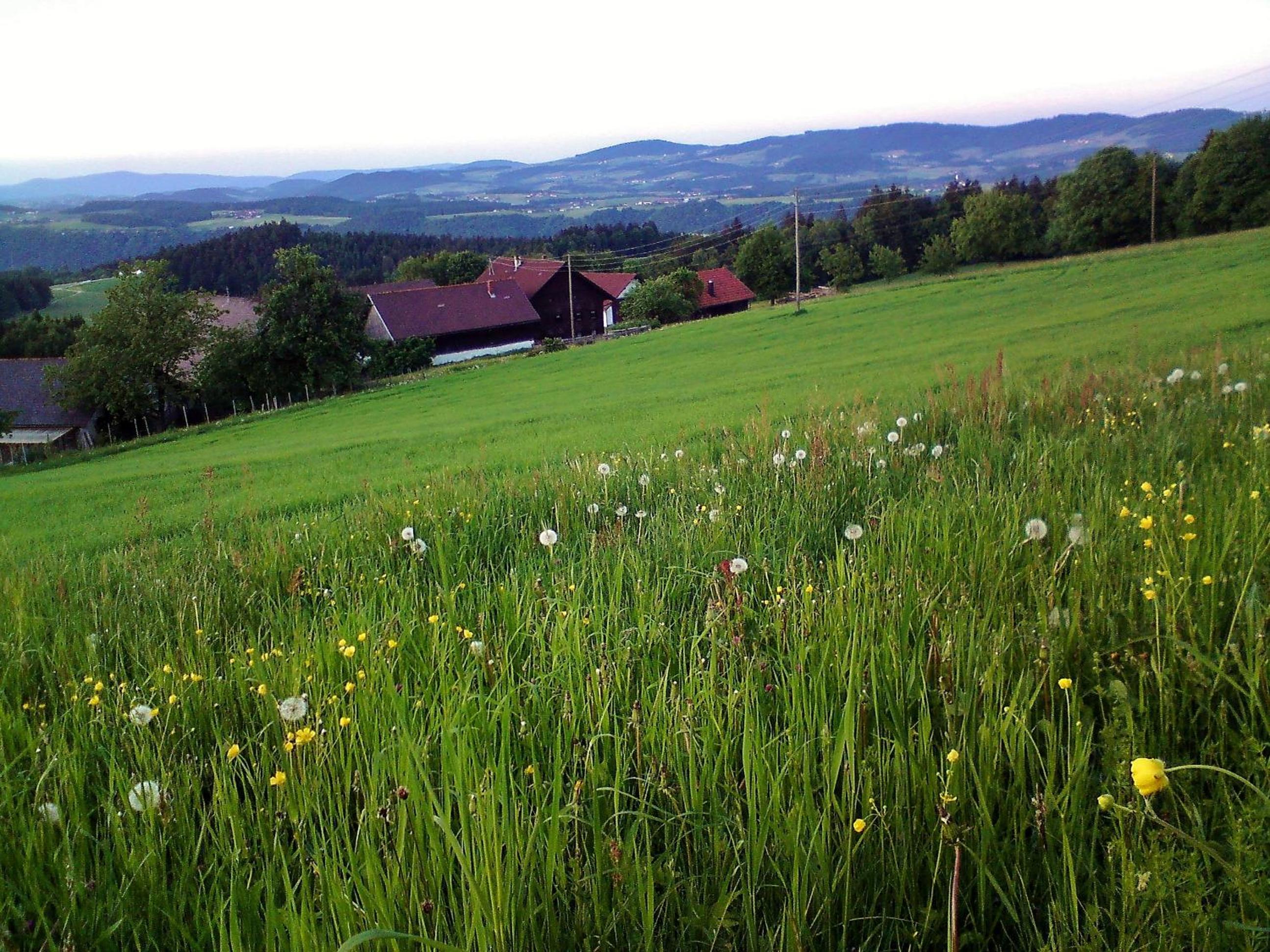 Gasthof-Pension Zum Haugstein - Familie Eder