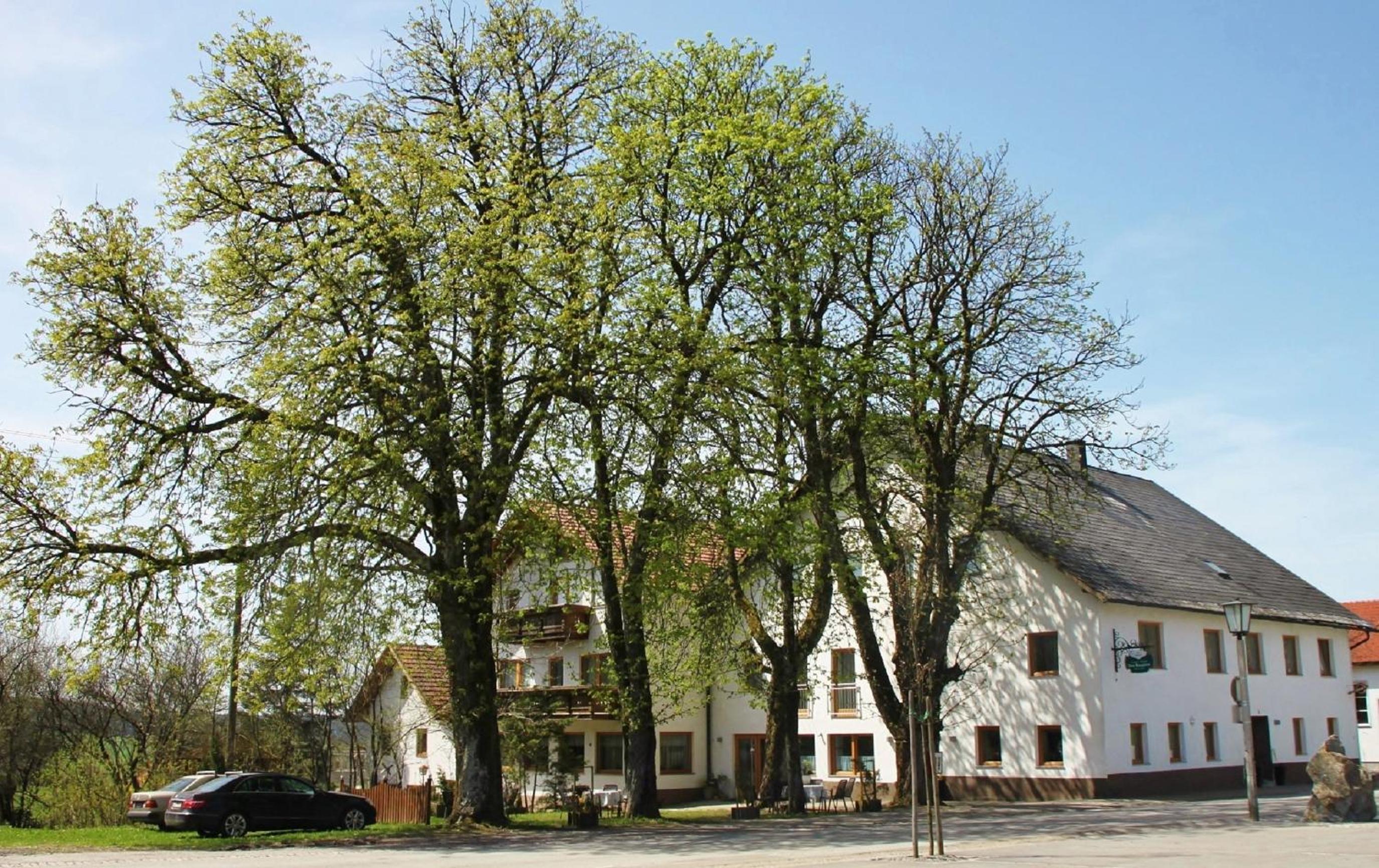 Gasthof-Pension Zum Haugstein - Familie Eder