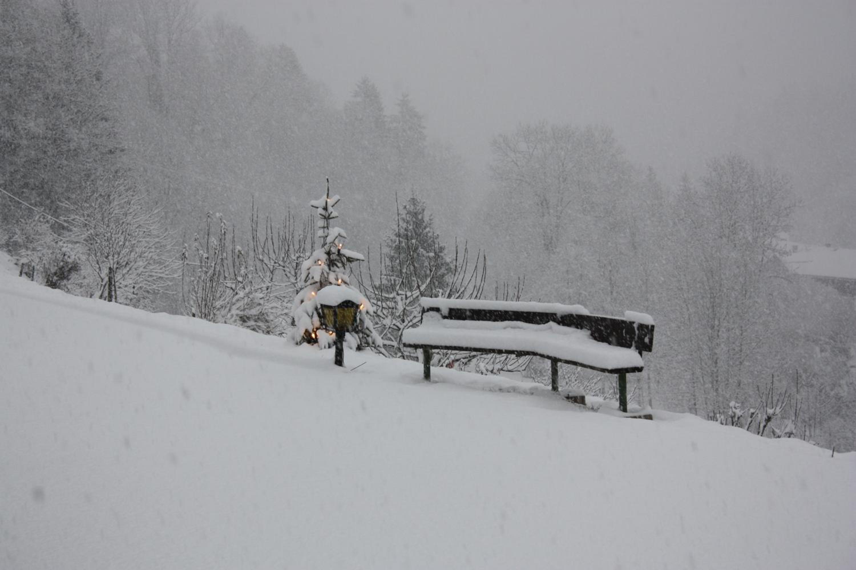 Alpenferienwohnungen Wiesenlehen