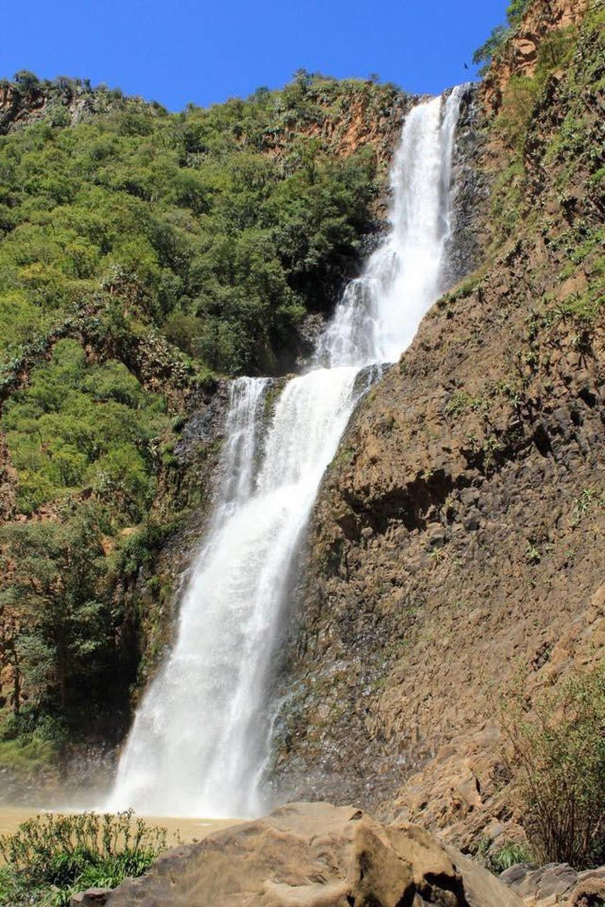Photo 41
