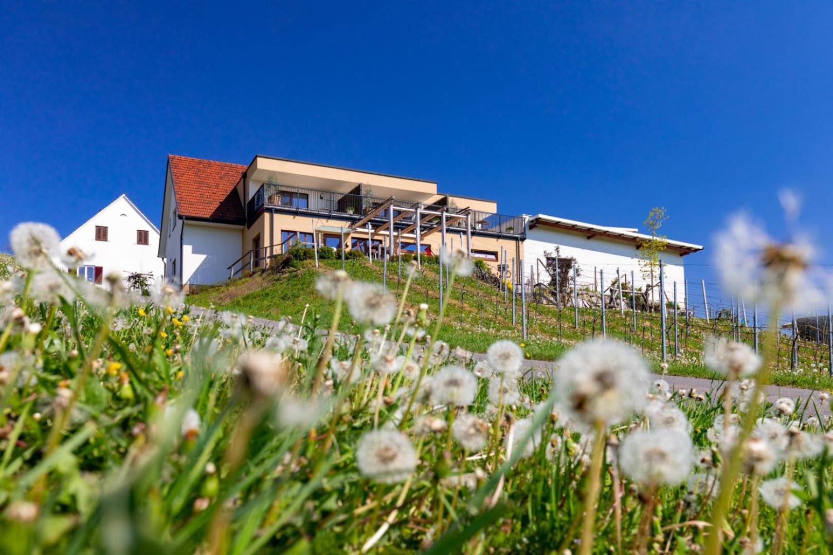 Weingut und Gästezimmer Perner