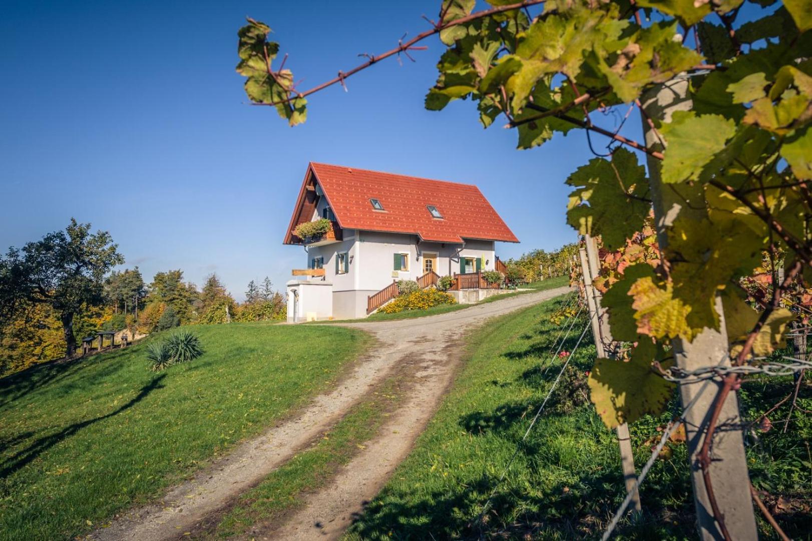 Weingut und Gästezimmer Perner