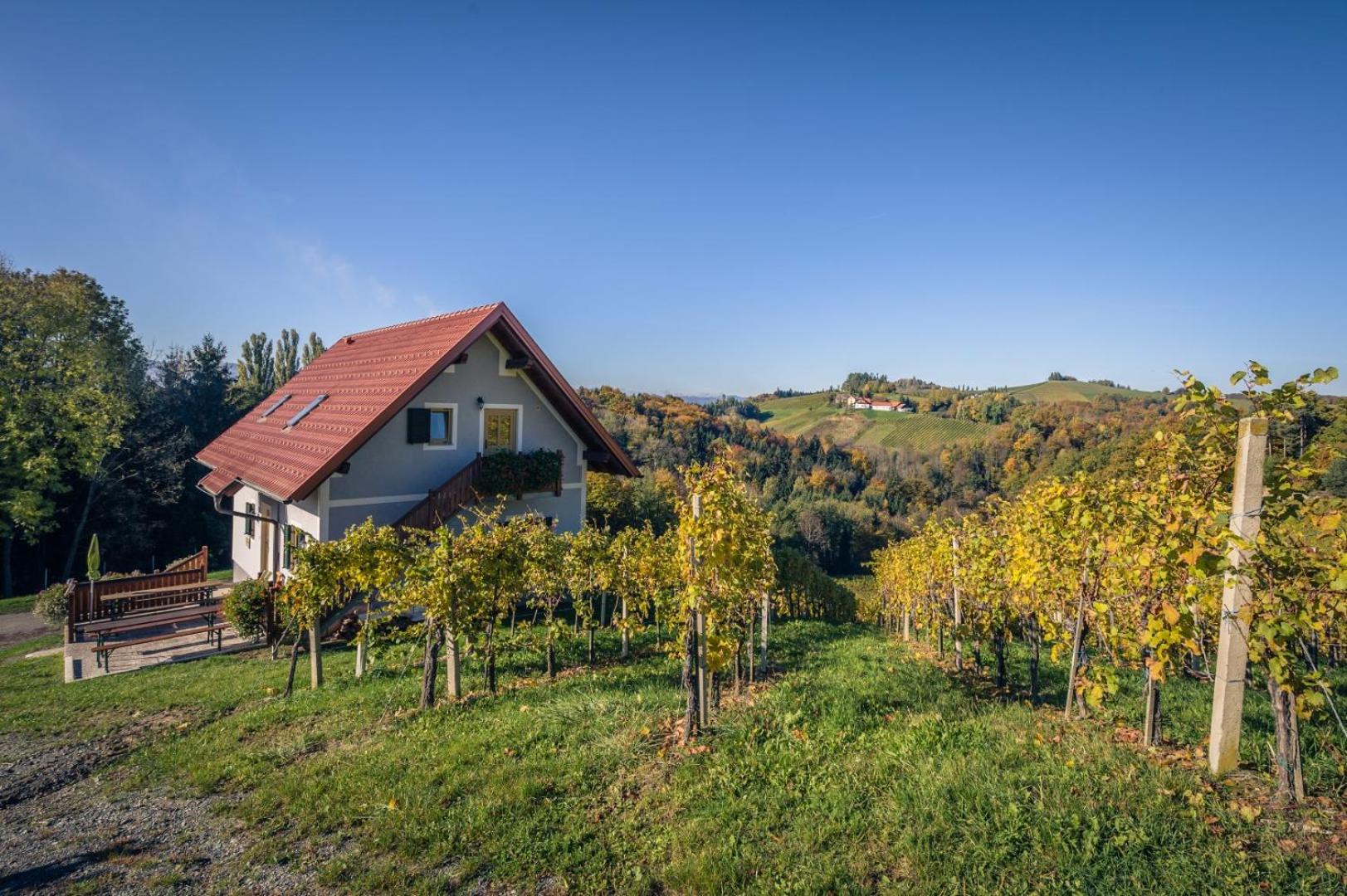 Weingut und Gästezimmer Perner