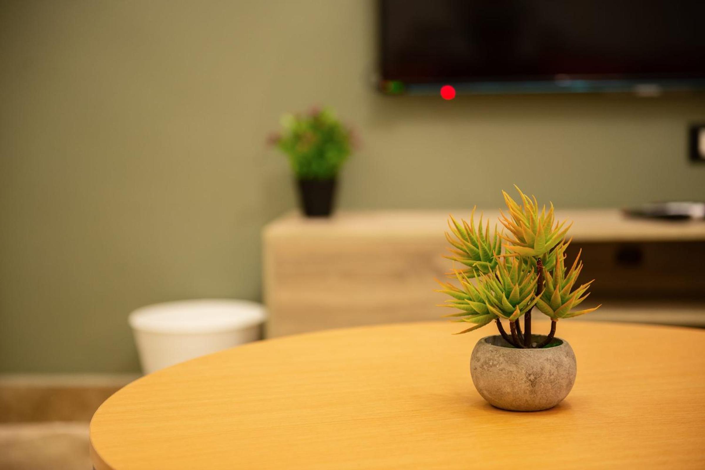 Play Foosball & Do Yoga - 1 BR Apt - Free Airport Pickup!