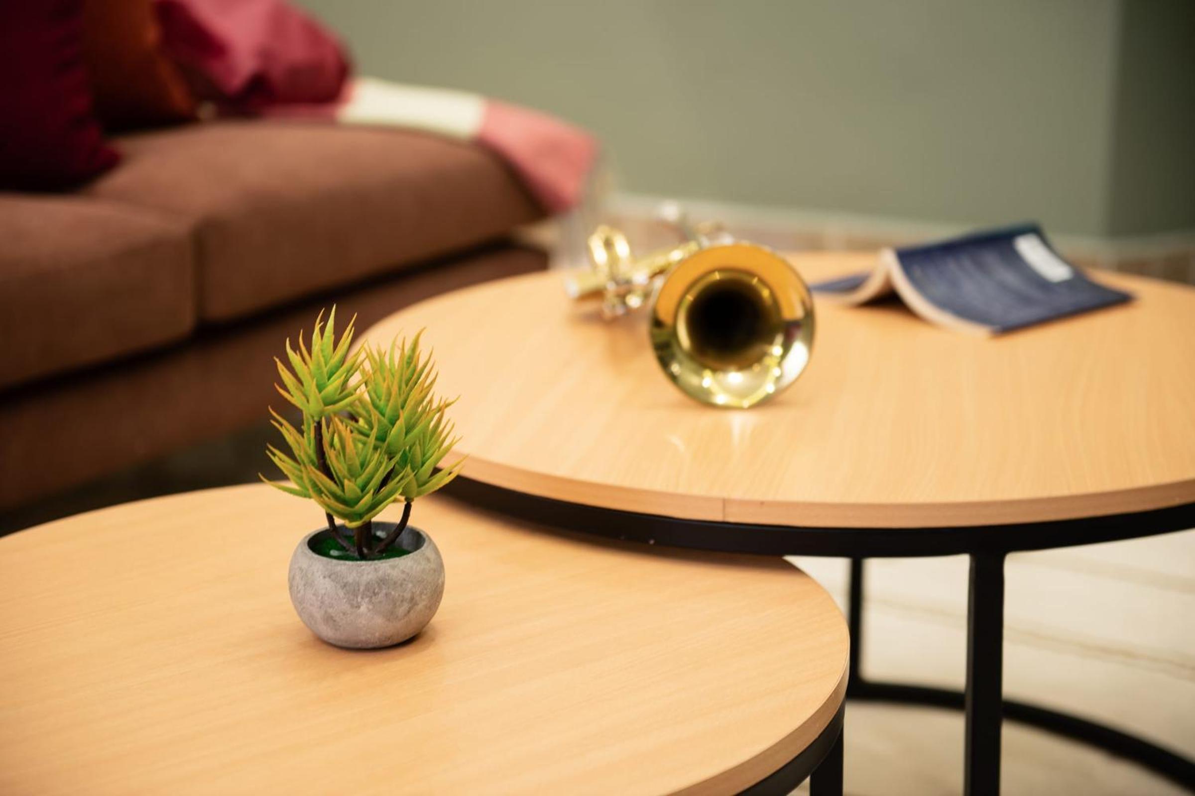 Play Foosball & Do Yoga - 1 BR Apt - Free Airport Pickup!
