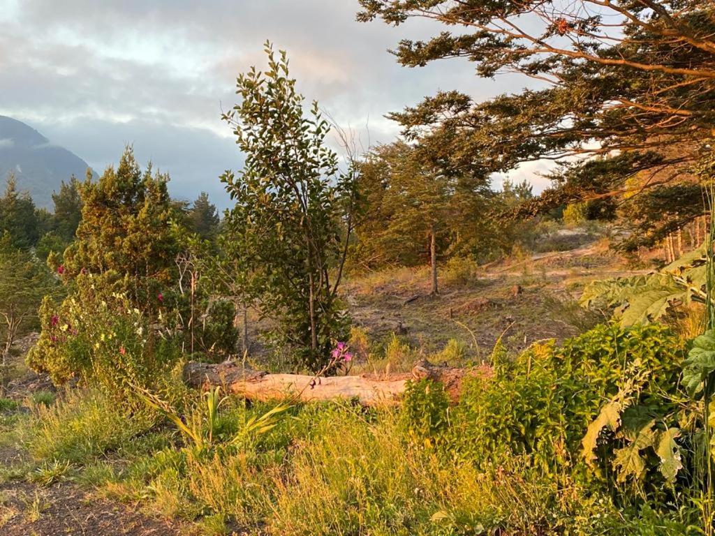 Cabañas Lodge Patagonia truful view 5