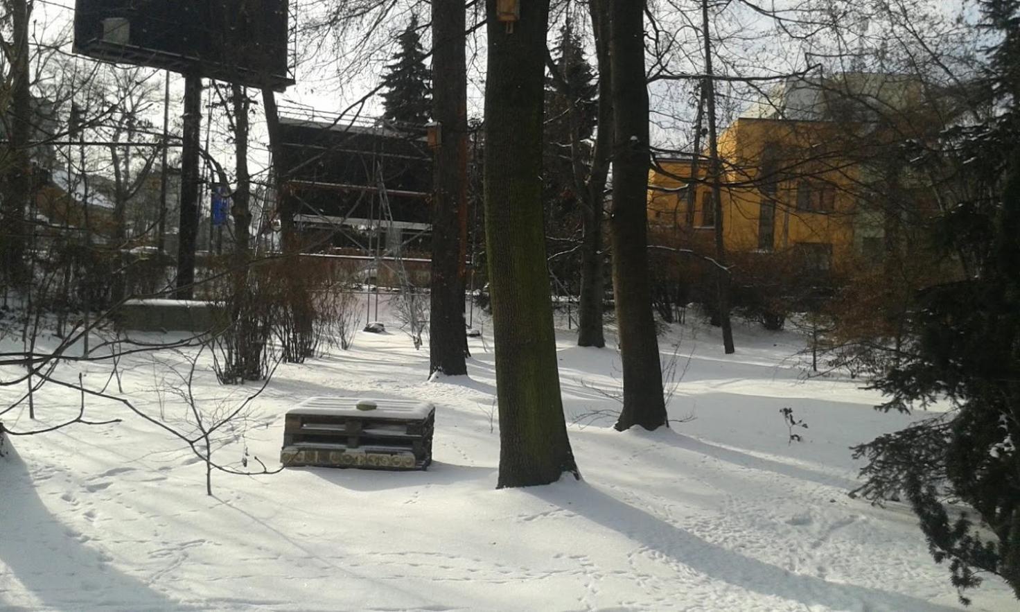 Photo 43