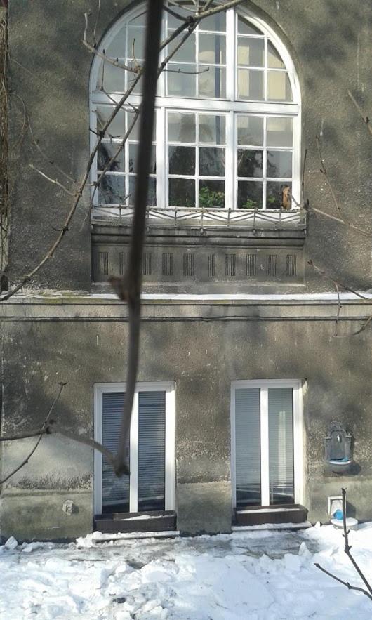 Photo 46