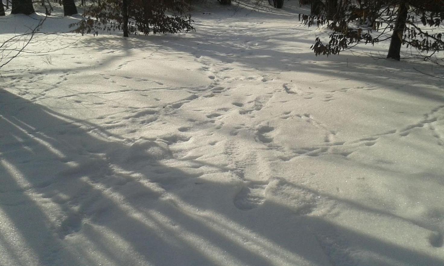 Photo 47